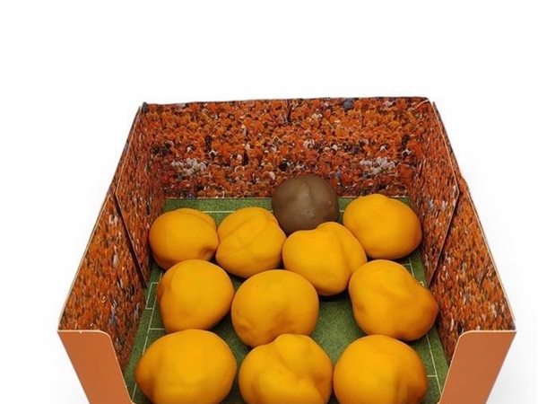 Oranje Elftal [10 oranje+1 chocosoesje]