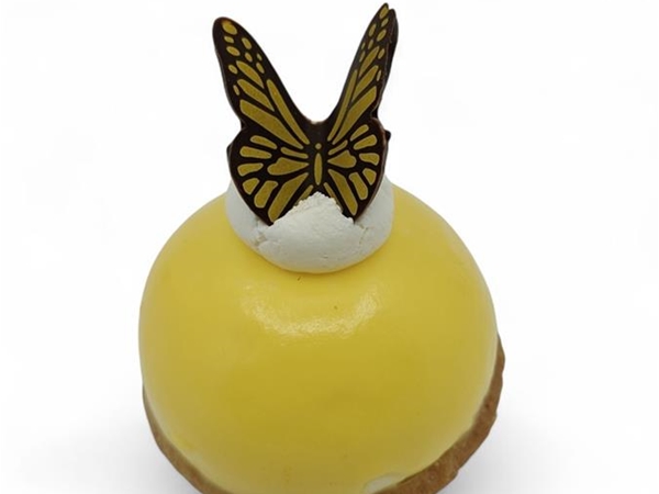 Bolgebakje Mango/abrikoos
