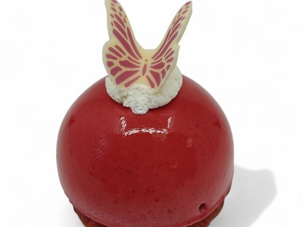 Bolgebakje Framboos/chocolade