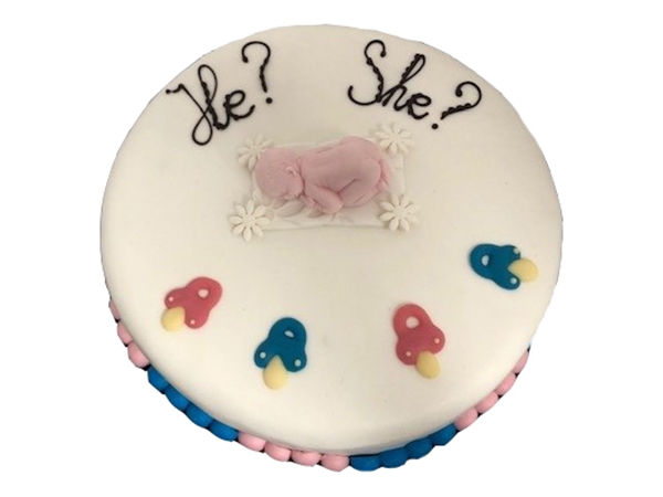 Gender reveal taartje 10 pers.